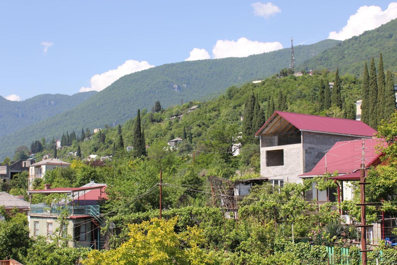 Guest House Zvanba Gagra Buitenkant foto